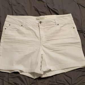 3/$25 🤑 NWT White Denim Jean Shorts 20w